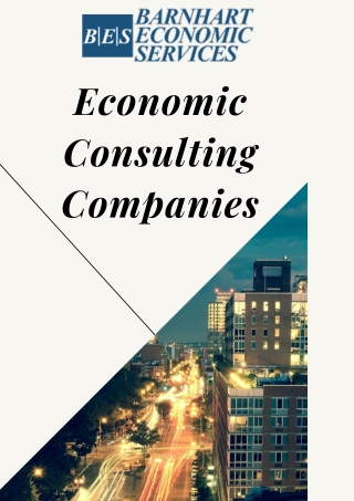 How Can  Economic Consulting Companies Help Me