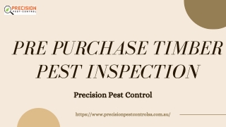 Termite Inspection Adelaide | Precision Pest Control