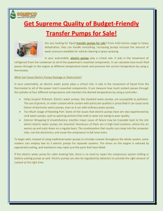 Get Supreme Quality of Budget-Friendly Transfer Pumps for Sale!