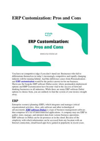 ERP Customization