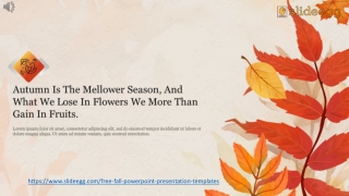Fall PPT