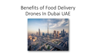 Food Delivery Drones in UAE