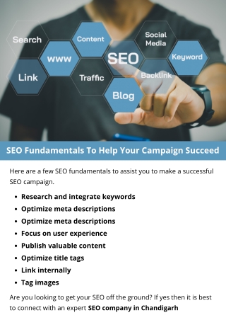 SEO Fundamentals To Help Your Campaign Succeed