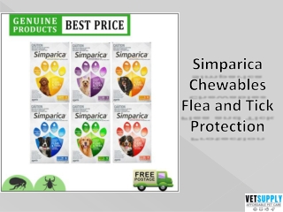 Simparica Chewables Flea and Tick Protection for Dogs | Dog Supplies | VetSupply