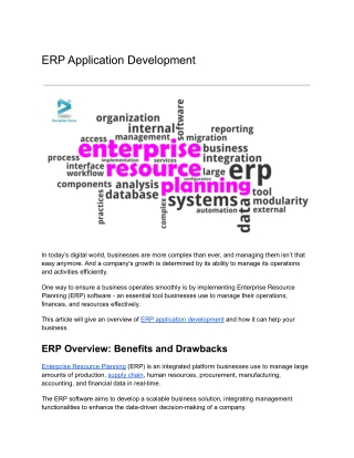 ERP Application Development