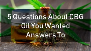 5 Questions About CBG Oil You Wanted Answers To