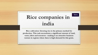 Rice companies in india