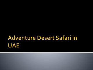 Adventure Desert Safari in UAE