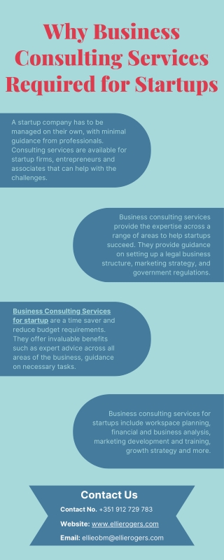 Why Business Consulting Services Required for Startups