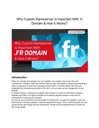 Why Custom Nameserver is Important With .fr Domain & How it Works_