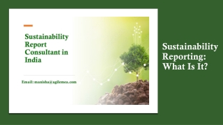 Sustainability Reporting: What Is It?