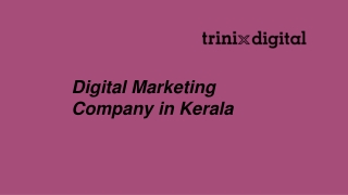 Digital Marketing Company in Kerala