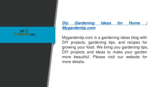 My Garden Tip