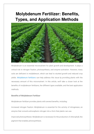 Molybdenum Fertilizer Benefits, Types, and Application Methods