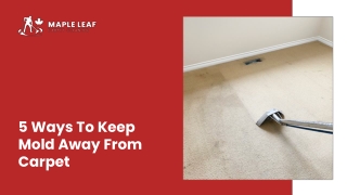 Feb Slide-5 Ways To Keep Mold Away From Carpet