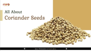 All About Coriander Seeds - Spice Wholesalers in South Africa - Kitchenhutt Spic