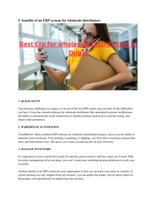 Best Erp for wholesale Distribution in Dubai