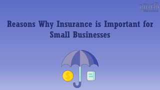 Reasons Why Insurance is Important for Small Businesses