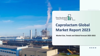 Caprolactam Market