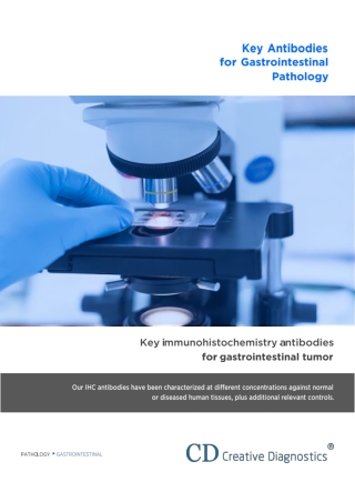 Key Antibodies for Gastrointestinal Pathology