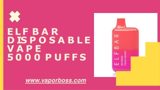 Elf Bar Disposable Vape  5000 Puffs