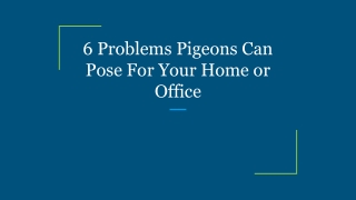 6 Problems Pigeons Can Pose For Your Home or Office