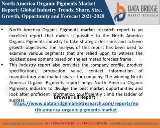 North America Organic Pigments Market-Chemical Material