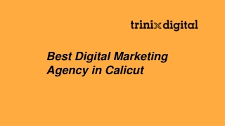 Best Digital Marketing Agency in Calicut