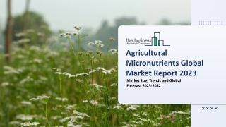 Agricultural Micronutrients Global Market By Crop Type, By Product Type, By Appication, By Region and Segment Forecasts,