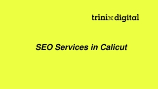 #1 Ranking With SEO Services in Calicut