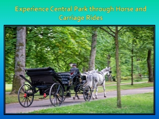 Experience Central Park through Horse and Carriage Rides