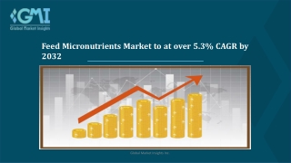 Feed Micronutrients Market Growth Drivers and Challenges 2023 to 2032