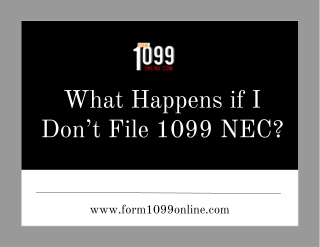 IRS Form 1099 NEC - Electronic Filing Form 1099 NEC 2022-23