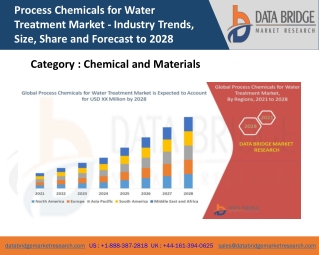 Process Chemicals for Water Treatment Market