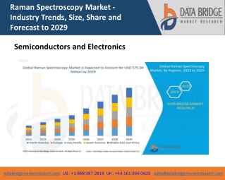 Raman Spectroscopy Market