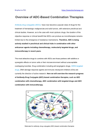 Overview of ADC-Based Combination Therapies