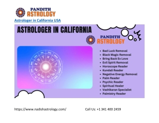 Best Astrologer in California - nadishastrology