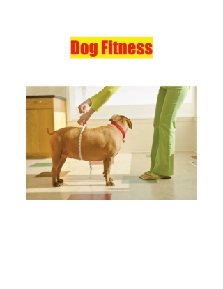 Dog Fitness