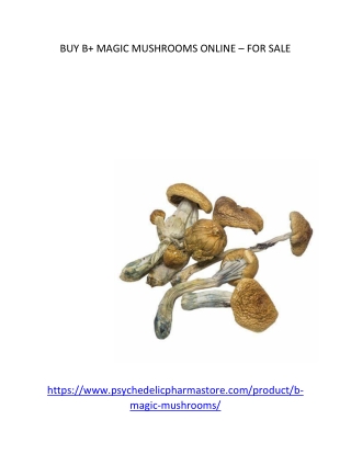 B  Magic Mushrooms