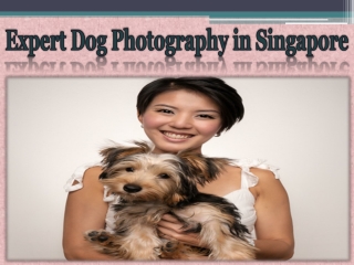 Expert Dog Photography in Singapore