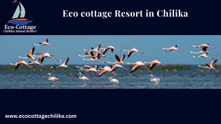 Eco cottage Resort in Chilika
