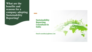 What are the benefits and reasons for a company adopting Sustainability Reporting