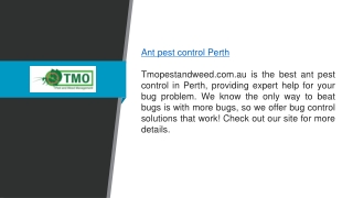 Ant Pest Control Perth  Tmopestandweed.com.au