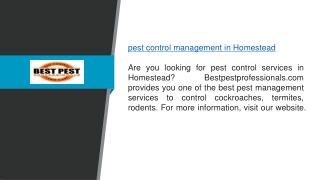 Pest Control Management In Homestead  Bestpestprofessionals.com