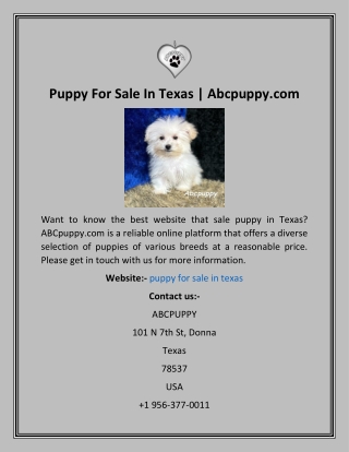 Puppy For Sale In Texas  Abcpuppy