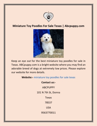 Miniature Toy Poodles For Sale Texas  Abcpuppy