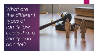 What are the different types of family law cases that a family can handel