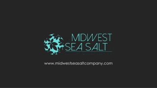 The experienced staff at The Midwest Sea Salt Company