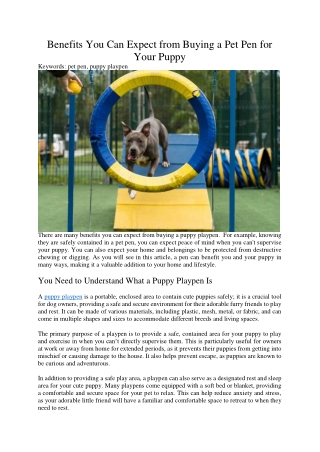 Benefits You Can Expect from Buying a Pet Pen for Your Puppy