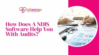 How Does A NDIS Software Help You With Audits?